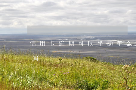 信用卡逾期可以坐动车么(欠信用卡能坐动车吗)