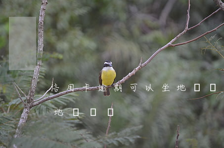 信用卡逾期可以坐地鐵嗎 信用卡逾期可以坐地鐵嗎嗎