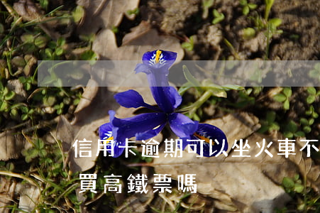 信用卡逾期可以坐火車不(信用卡逾期了還能買高鐵票嗎)