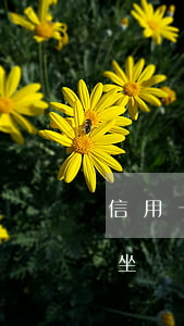 信用卡逾期可以坐火車嗎(信用卡逾期能不能坐動(dòng)車)