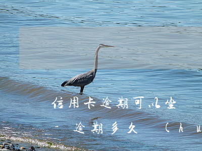 信用卡逾期可以坐飛機(jī)嗎坐高鐵嗎-逾期多久會(huì)被列入失信人名單