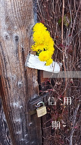信用卡 逾期可以多久 工作日（一般信用卡能逾期幾天）