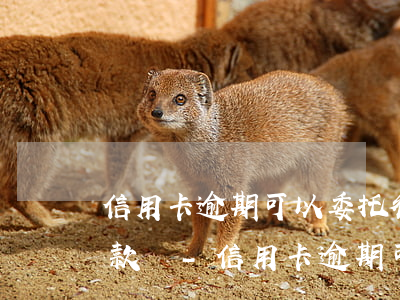 信用卡逾期可以委托律師協(xié)商還款嗎?-信用卡逾期可以委托律師協(xié)商還款嗎