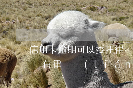 信用卡逾期可以委托律師去協(xié)商嗎(有律師聯(lián)系我說信用卡逾期起訴了)