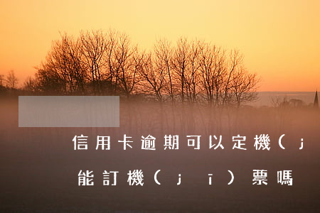 信用卡逾期可以定機(jī)票(信用卡逾期能訂機(jī)票嗎)