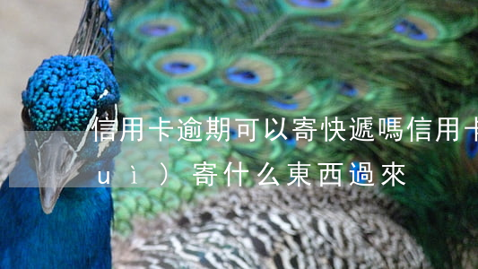 信用卡逾期可以寄快遞嗎(信用卡逾期會(huì)寄什么東西過來)