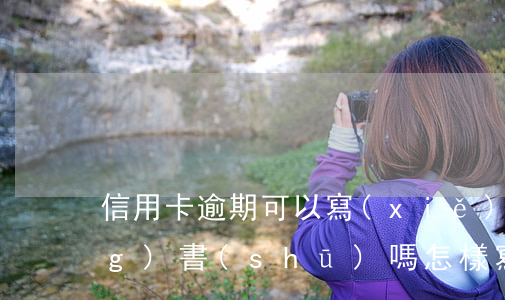 信用卡逾期可以寫(xiě)申請(qǐng)書(shū)嗎(怎樣寫(xiě)信用卡逾期申請(qǐng)書(shū))