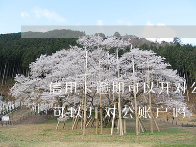 信用卡逾期可以开对公账户吗-征信有逾期可以开对公账户吗