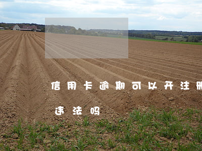 信用卡逾期可以开注册网约车吗(注册网约车违法吗)