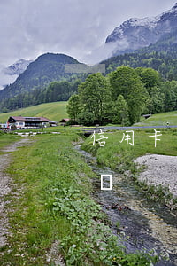 信用卡逾期可以彈個車 信用卡逾期可以彈個車