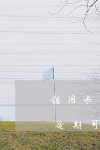 信用卡逾期可以当公司法人代表吗-信用卡逾期可以当公司法人代表吗知乎
