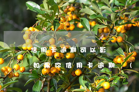 信用卡逾期可以影響轉(zhuǎn)正嗎(如果你信用卡逾期過(guò)辦銀行卡有關(guān)系嗎)