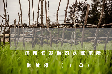 信用卡逾期可以征信修復(fù)嗎(征信逾期能修復(fù)嗎)