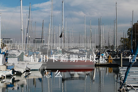 信用卡逾期可以快貸嗎(信用卡逾期可以快貸嗎怎么辦)