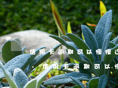 信用卡逾期可以慢慢还吗会打电话给家人吗-信用卡逾期可以慢慢还吗会打电话给家人吗
