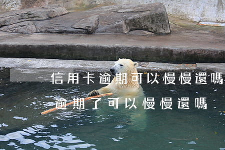 信用卡逾期可以慢慢還嗎郵政(欠信用卡的錢逾期了可以慢慢還嗎)