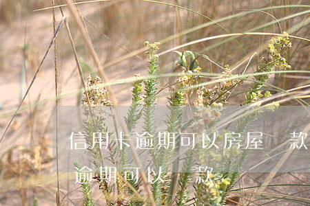 信用卡逾期可以房屋貸款嗎 買房子信用卡有逾期可以貸款嗎