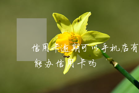 信用卡逾期可以手机店(有过手机分期逾期过能办信用卡吗)