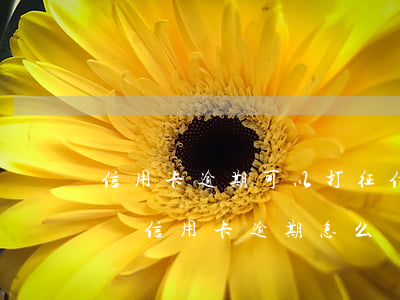 信用卡逾期可以打征信報告嗎(征信報告有一個信用卡逾期怎么辦)