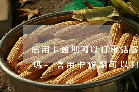 信用卡逾期可以打電話客服協(xié)商嗎-信用卡逾期可以打電話客服協(xié)商嗎