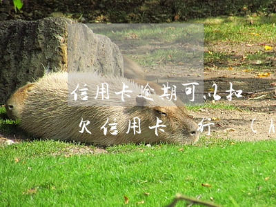 信用卡逾期可以扣儲(chǔ)蓄銀行卡嗎(欠信用卡銀行會(huì)強(qiáng)制扣錢嗎)