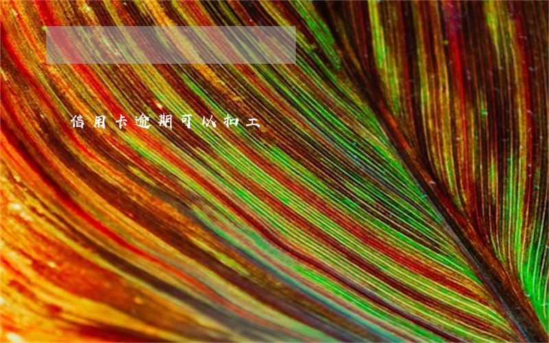 信用卡逾期可以扣工資嗎