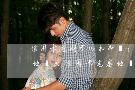 信用卡逾期可以扣押農(nóng)村宅基地嗎(欠信用卡宅基地會(huì)被拍賣(mài)嗎)