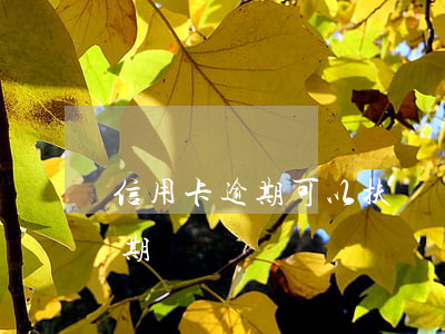 信用卡逾期可以扶貧貸款嗎(扶貧小額信貸逾期)