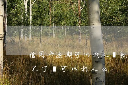 信用卡逾期可以找人貸款嗎(銀行因為逾期貸不了錢可以找人么)