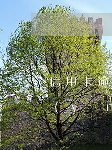 信用卡逾期可以找人養(yǎng)卡么(養(yǎng)卡的人把我的信用卡逾期了)