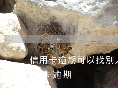 信用卡逾期可以找別人幫忙嗎(幫別人處理信用卡逾期)