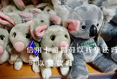 信用卡逾期可以找垫还吗(信用卡逾期已还清可以贷款吗)
