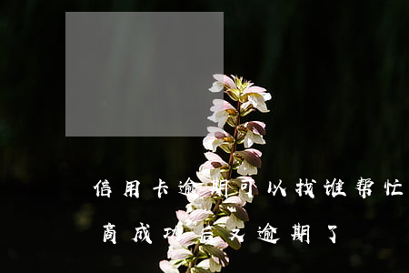 信用卡逾期可以找谁帮忙协商-跟信用卡协商成功后又逾期了