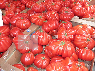 信用卡逾期可以承受哪些責任 信用卡逾期可以承受哪些責任和義務