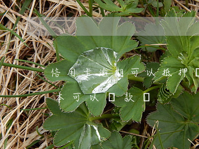 信用卡逾期可以抵押綠本嗎(征信不好抵押綠本可以貸款嗎)