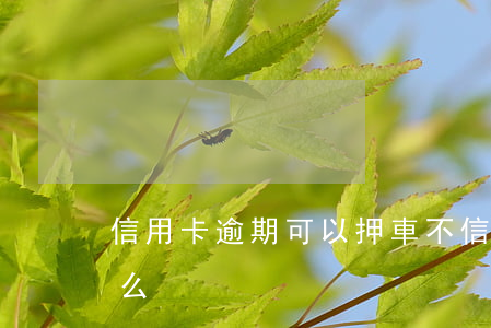 信用卡逾期可以押車不(信用卡逾期可以租車么)