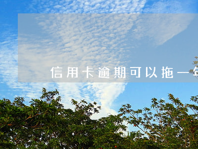 信用卡逾期可以拖一年(信用卡 逾期 一個月)
