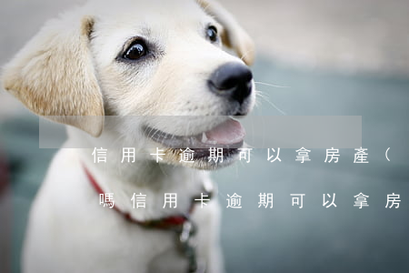 信用卡逾期可以拿房產(chǎn)證貸款嗎(信用卡逾期可以拿房產(chǎn)證貸款嗎怎么辦)