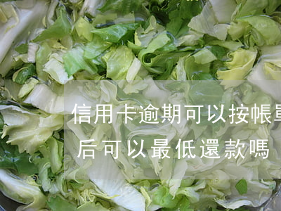 信用卡逾期可以按帳單還最低嗎-賬單逾期后可以最低還款嗎