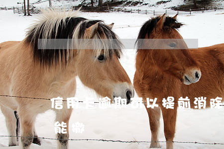 信用卡逾期可以提前消除嗎(信用卡逾期銀行能撤銷嗎)