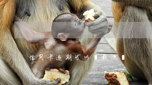 信用卡逾期可以換最低嗎