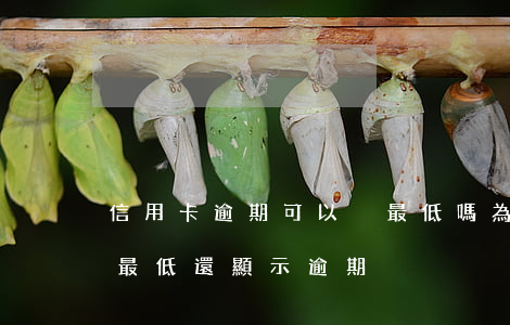 信用卡逾期可以換最低嗎(為什么信用卡還了最低還顯示逾期)