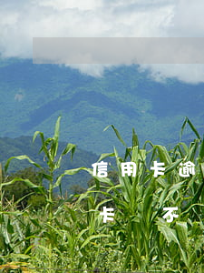 信用卡逾期可以改名字么(改了名字申請信用卡會不會有影響)