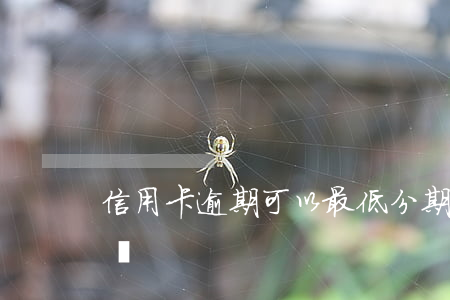 信用卡逾期可以最低分期(信用卡分期算逾期嗎)
