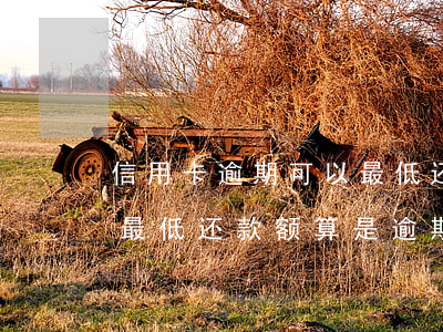 信用卡逾期可以最低还款么(每个月信用卡还最低还款额算是逾期吗)