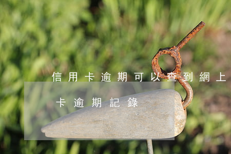 信用卡逾期可以查到網上嗎(怎樣能查到信用卡逾期記錄)
