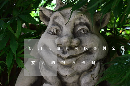信用卡逾期可以查封亲属账户吗(逾期会冻结家人的银行卡吗)