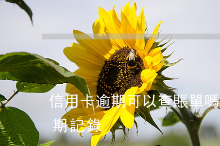 信用卡逾期可以查賬單嗎(如何查詢信用卡逾期記錄)