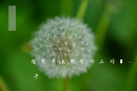 信用卡逾期可以止付嗎-有逾期能過的信用卡