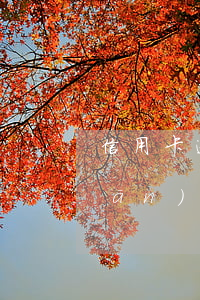 信用卡逾期可以民事訴訟嗎(民法典關(guān)于信用卡逾期)